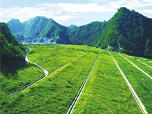 礦山生態修復